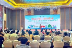 双城携手 共赴“诗与远方”——巴东文旅南阳专场推介会在宛城区成功举办
